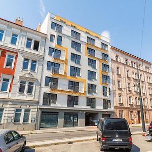 Brand New Studio Apartment # 42 In Brand New Building With Free Parking In The Center